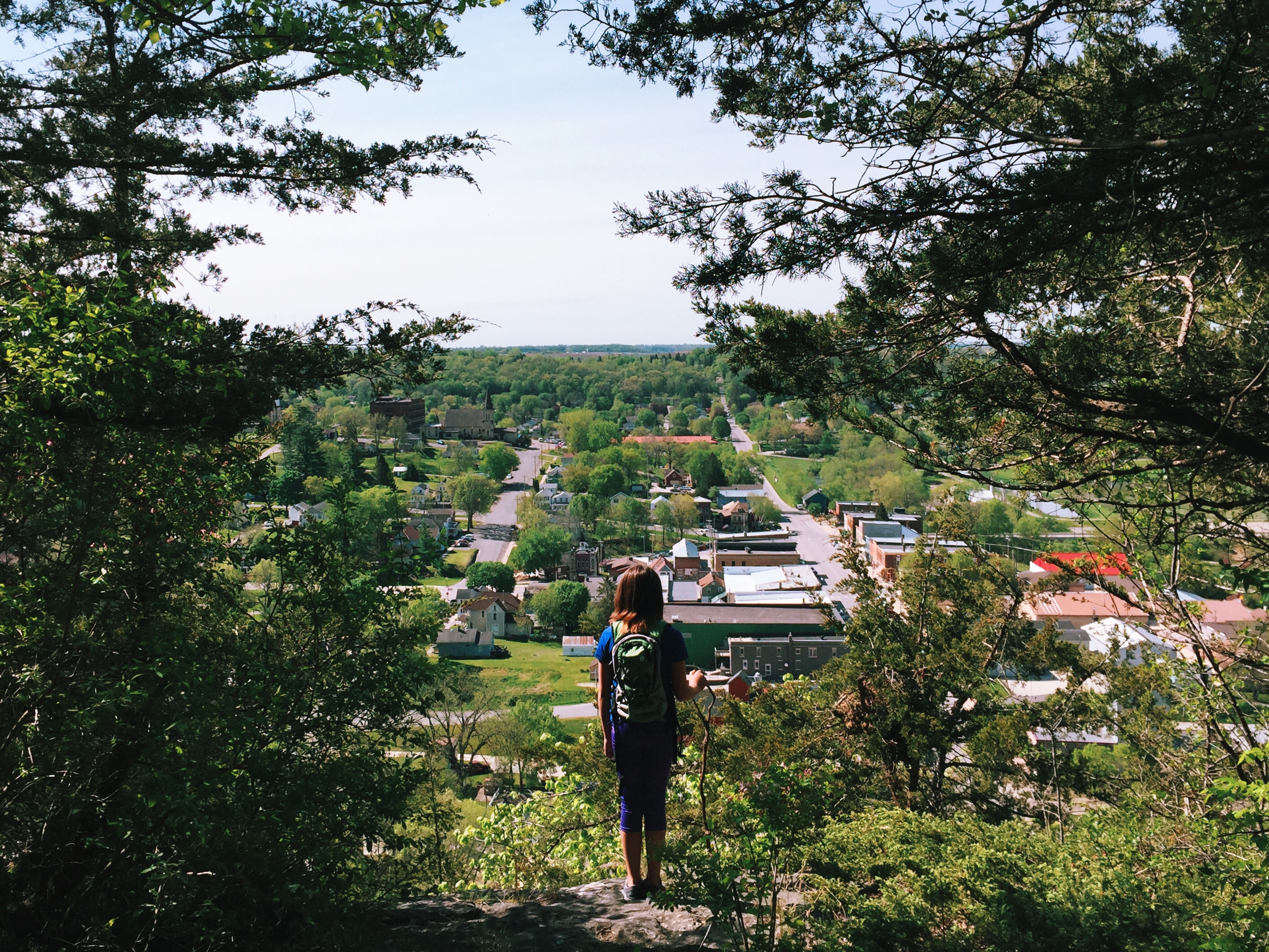 Looking over Lanesboro