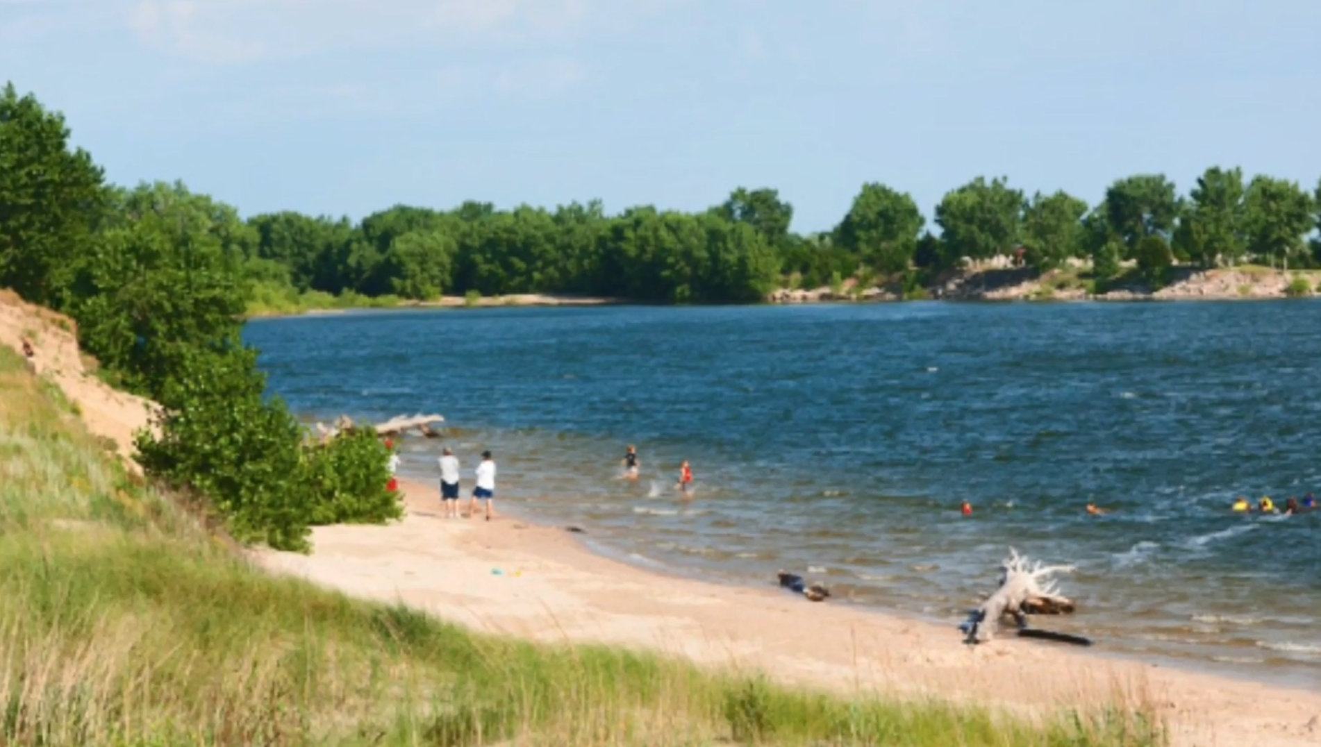 A beach on a summer day next to a high dune covered with grass and shrubs.