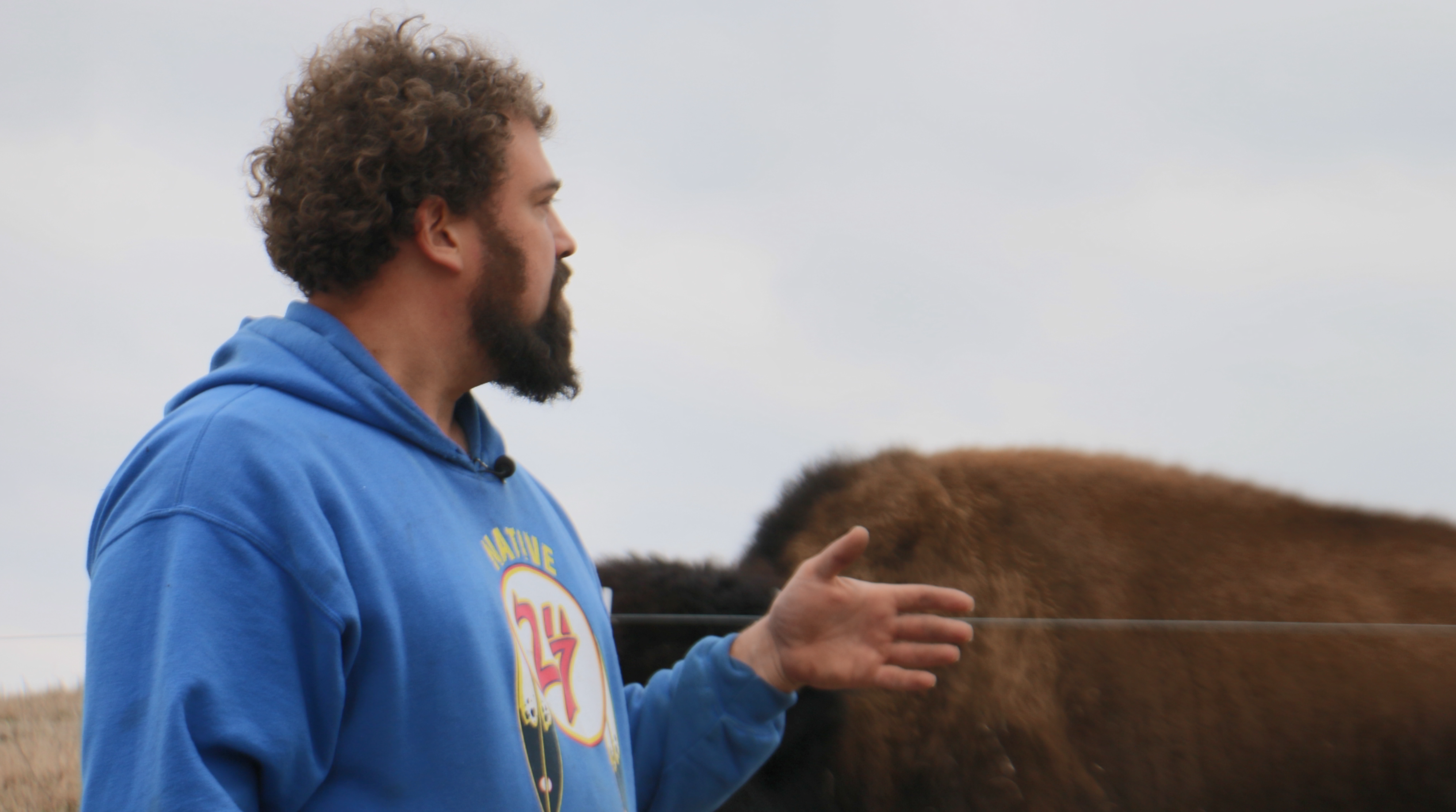 A man with curly hair and a beard, wearing a blue hooded sweatshirt, stands next to a real buffalo.