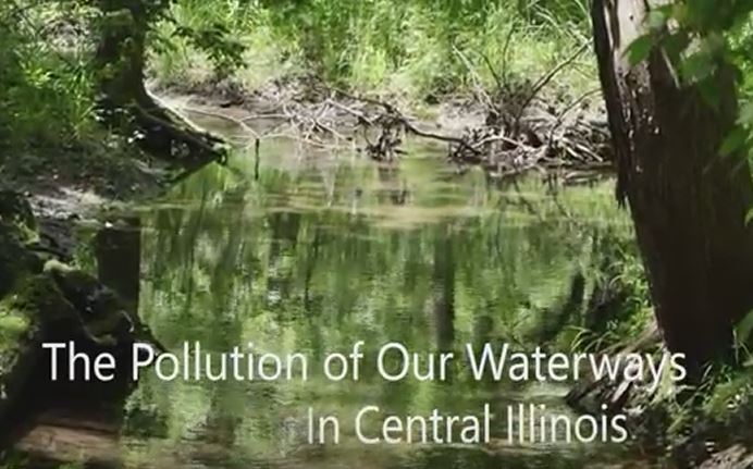 Screenshot from The Pollution of Our Waterways in Central Illinois showing a small creek and surrounding vegetation