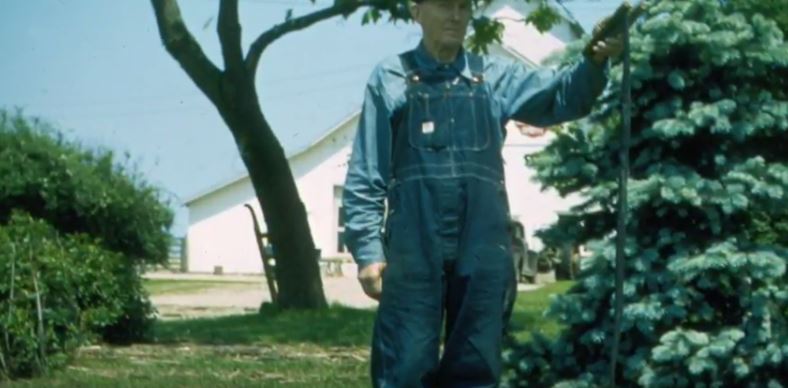 A farmer wearing overalls holds a snake that was killed in flood waters in a vintage 1950s photo.