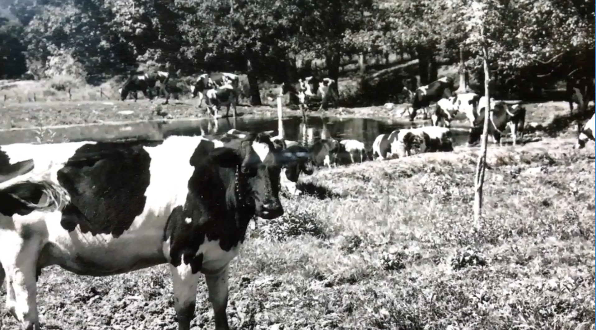 Farming in Bethel, North Carolina Museum on Main Street