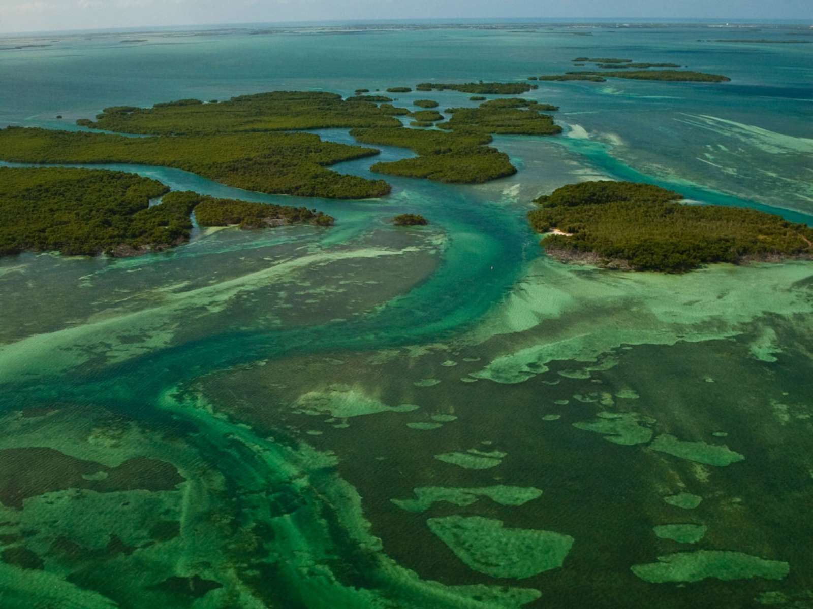 Mangrove Islands