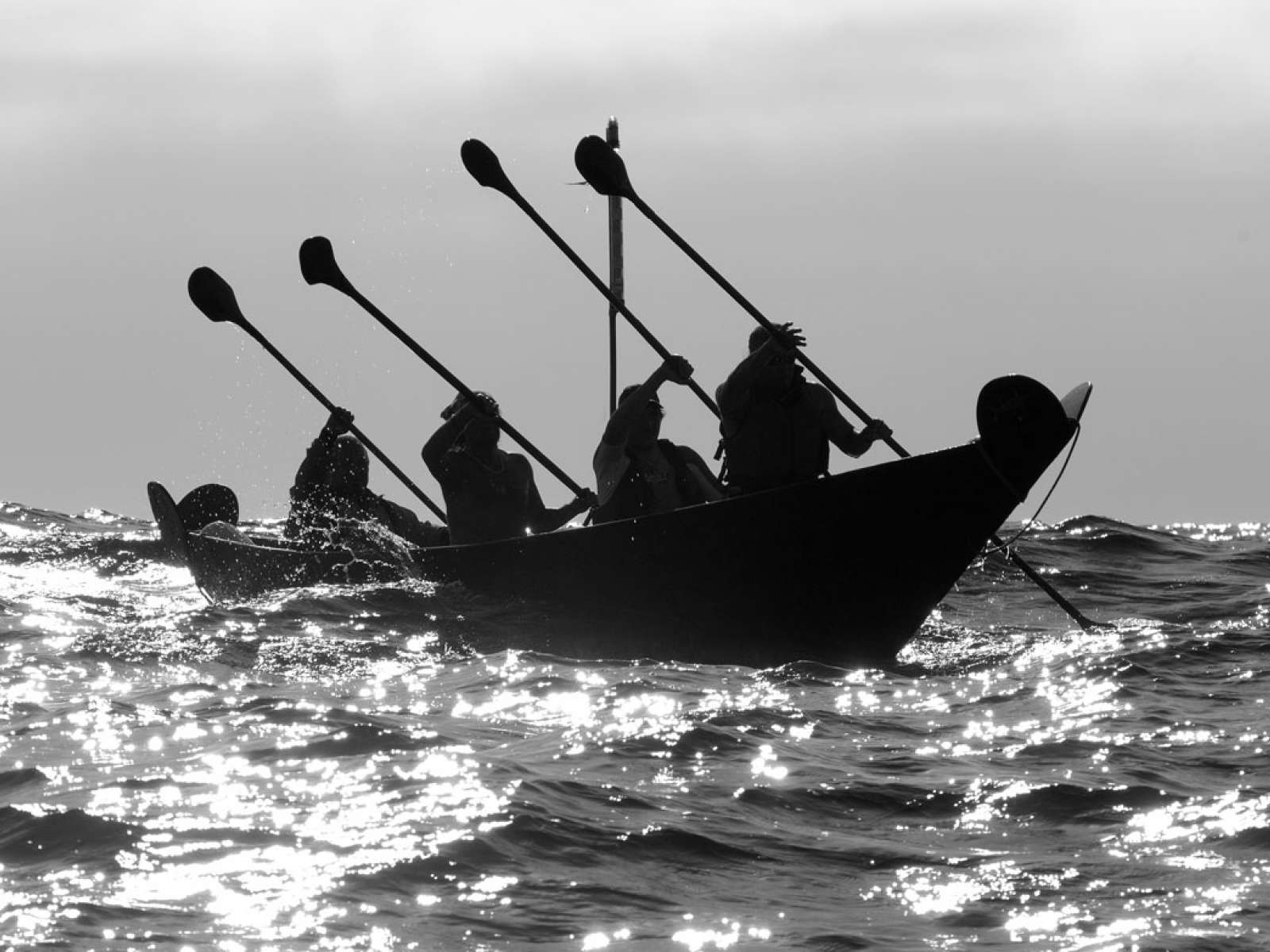 Paddlers