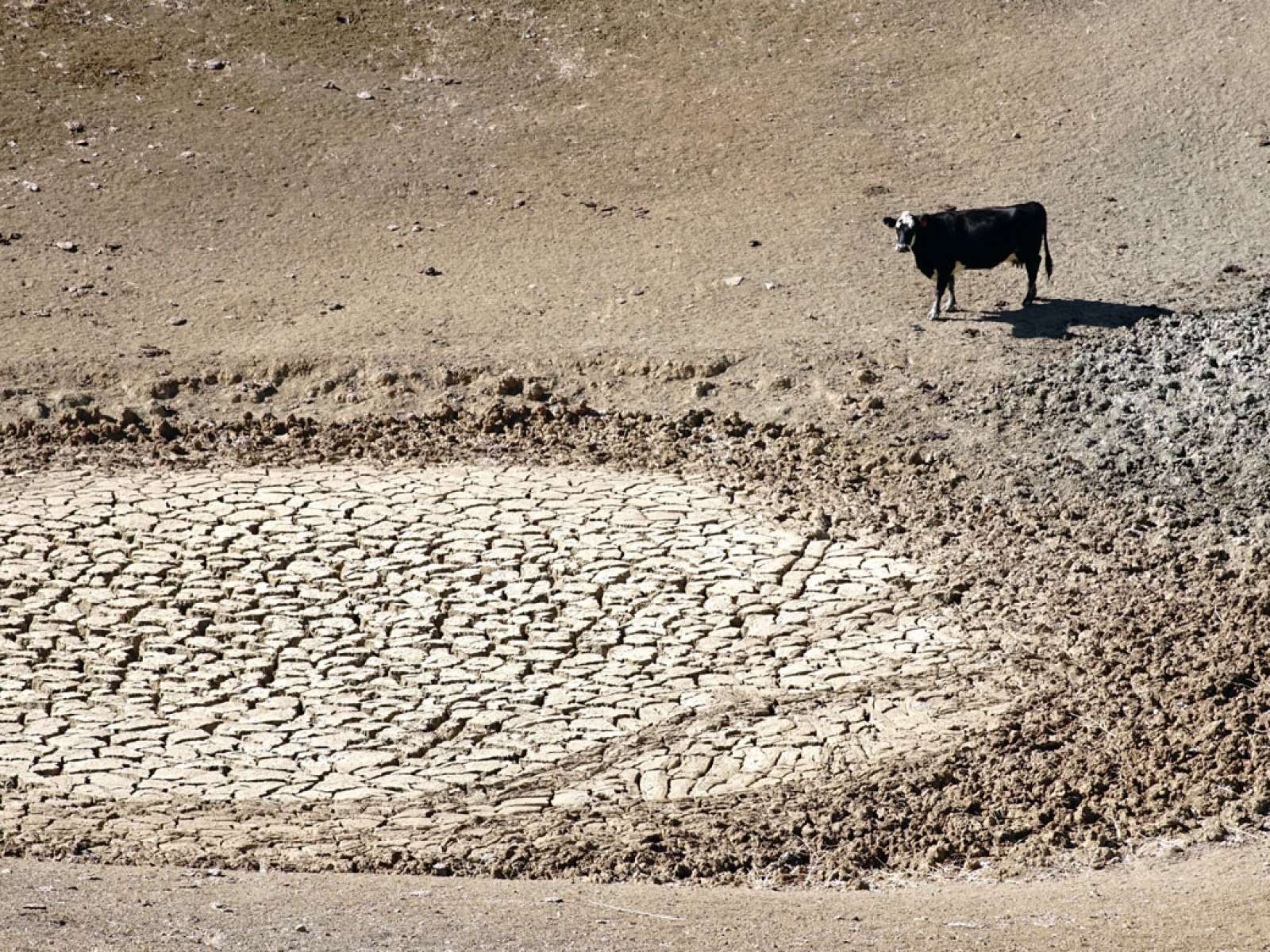 Water Holes