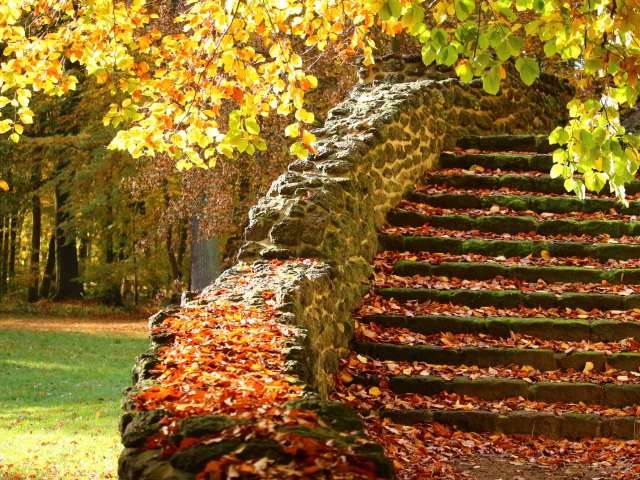 A stone staircase covered with fall leaves. Pexels
