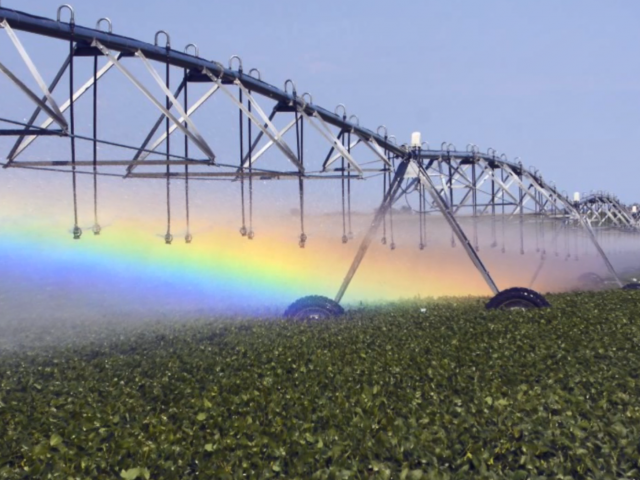 An irrigation system on wheels sprays water on small growing crops.