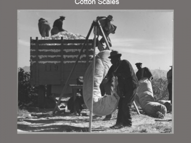 Several people stand in an agricultural field and lift bales of cotton onto a truck.