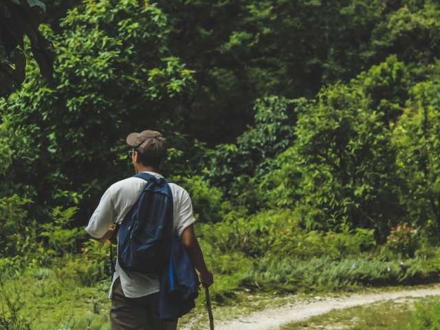 A man walks on a wooded path using a hiking stick.
