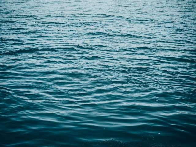 Sunlight dances on the surface of a large body of water.