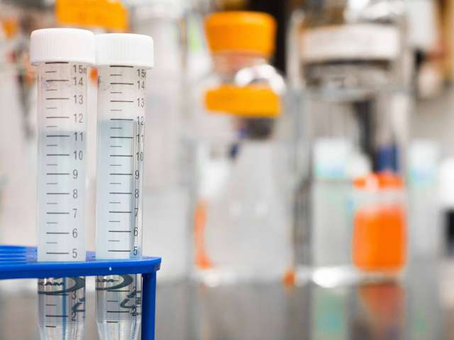 Test tubes and solutions on a table in a lab. 