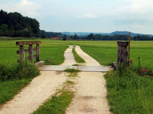 A winding dirt road leads out to a green field on a sunny day.