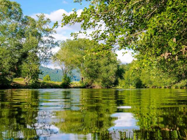 A view of the water from inside a river, surrounded by dense, leafy trees.
