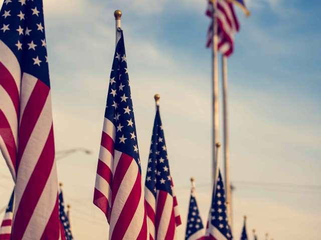 A long row of standing American flags outside on a day with a blue sky.