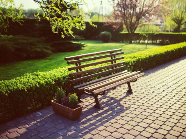 A wood and metal bench in a park-like setting on a sunny summer day.