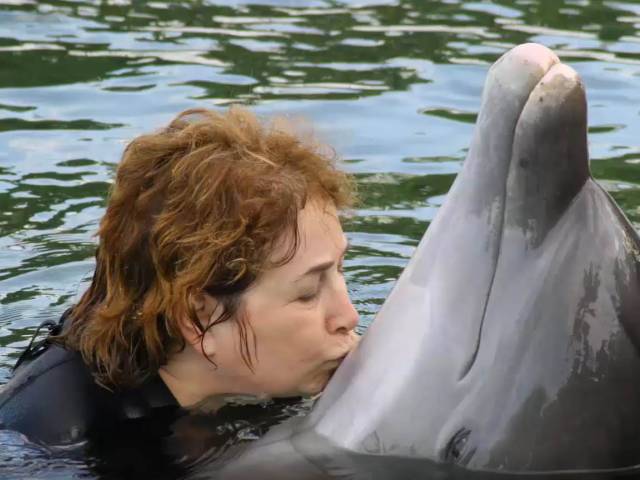 A woman with brown hair and wearing a wetsuit kisses a dolphin while swimming in the water.