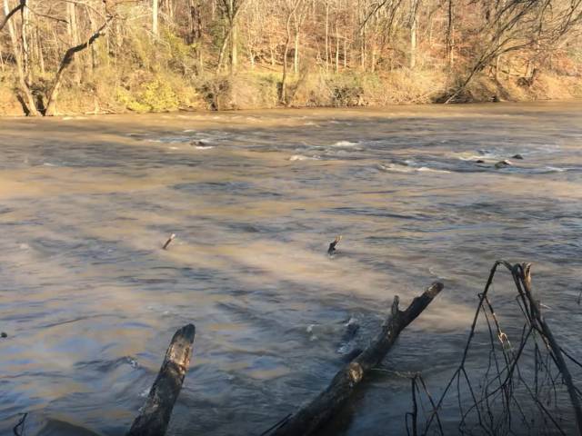 A winter view of a broad river with logs in the foreground.