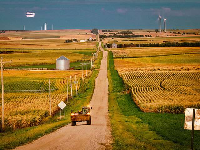 A yellow tractor going along a dirt road surrounded by corn fields. 