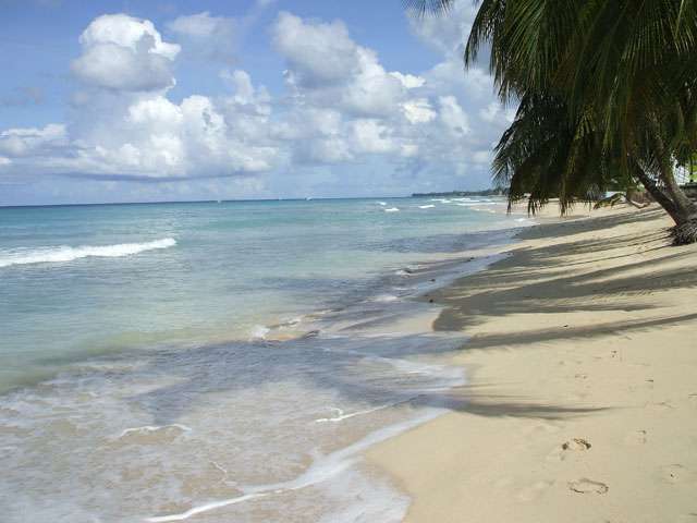 The beach in Barbados. Courtesy of the storyteller. 