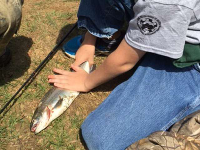 A boy holds down a fish that he has caught. 