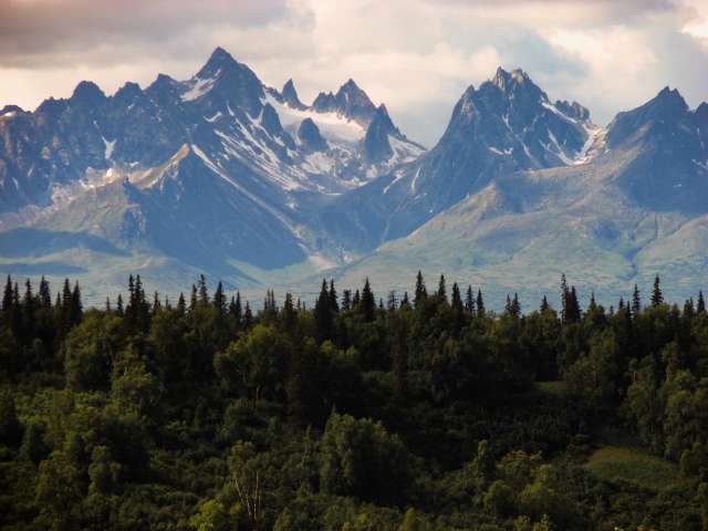 A scenic view of Alaska's jagged, snow-covered mountains with a pine forest.