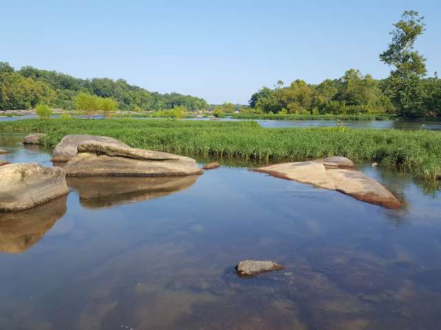 A view of a placid river and marshland.