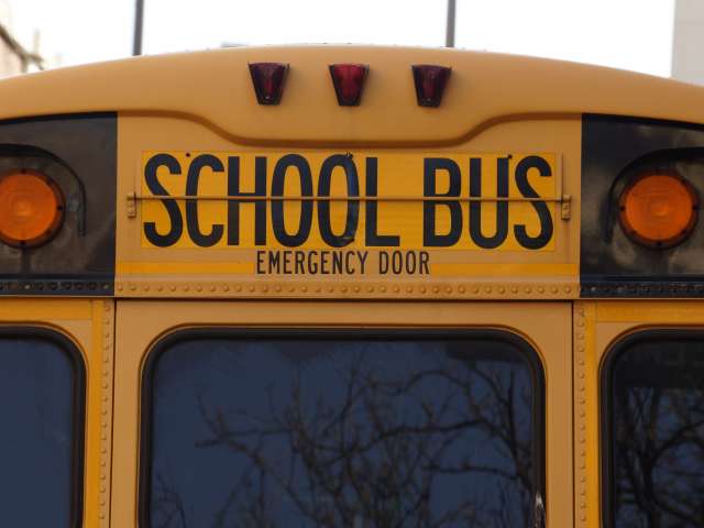 A view of the back of yellow school bus. 