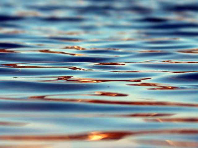 The rippling surface of water