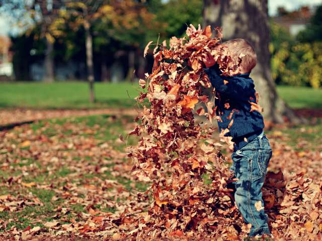 A young boy plays in the leaves, throwing them up in the air. 