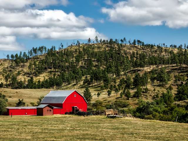 Photo of a red barn on a farm with pines in the background. Pexels stock photo.