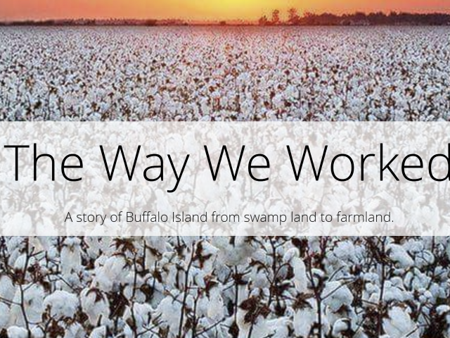 A screenshot from a website, showing a cotton field and a sunrise behind it. The words, The Way We Worked, appear in a white box.