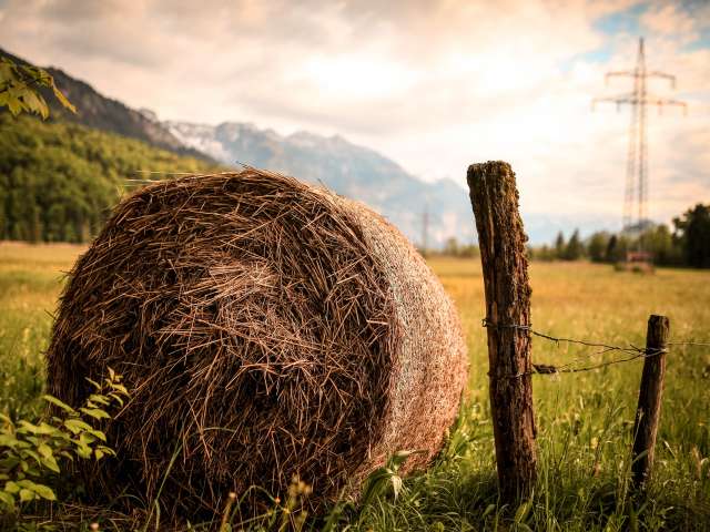 A rolled bale of hay sits in a picturesque field with mountains in the background. Pexels stock photo