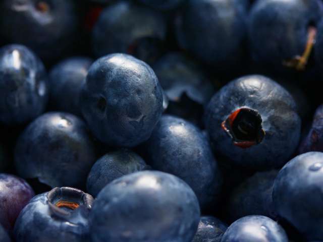 A close-up view of ripe, juicy blueberries. Pexels stock photo