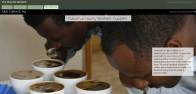 ArcGIS StoryMap Website 
