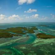 Find Stories about Our Planet